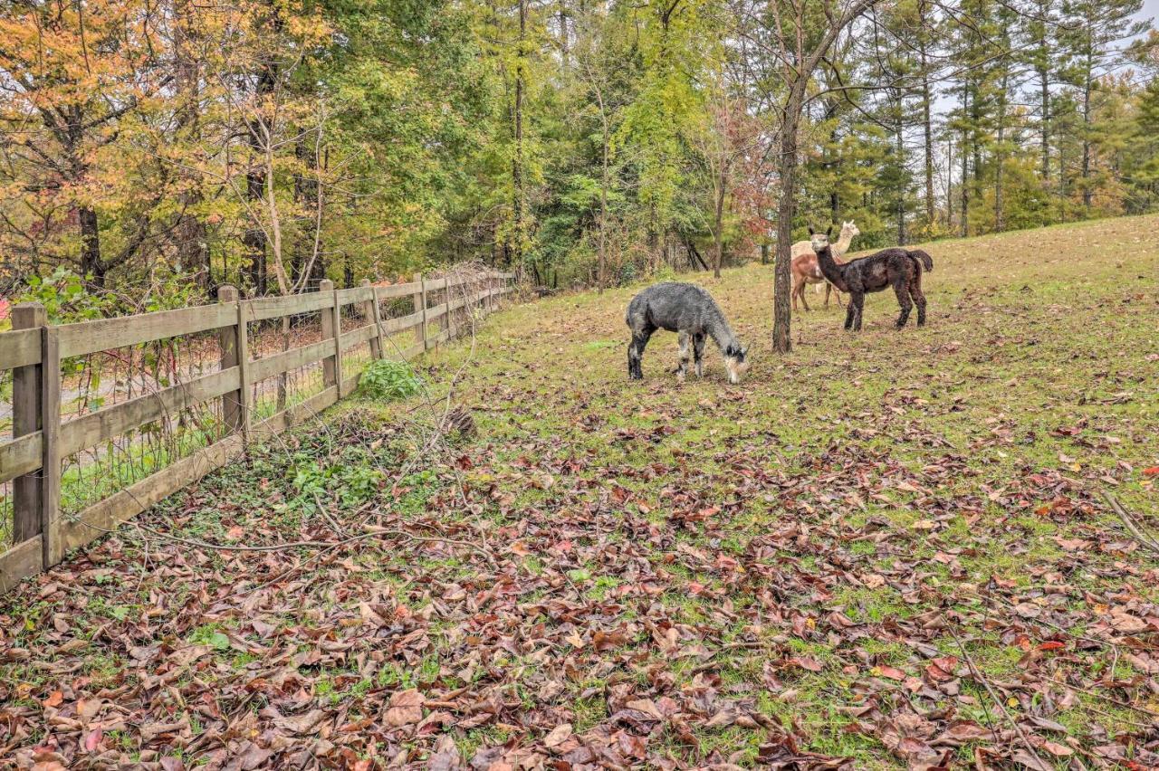 Rustic Hendersonville Farm Studio With Private Deck Exterior photo