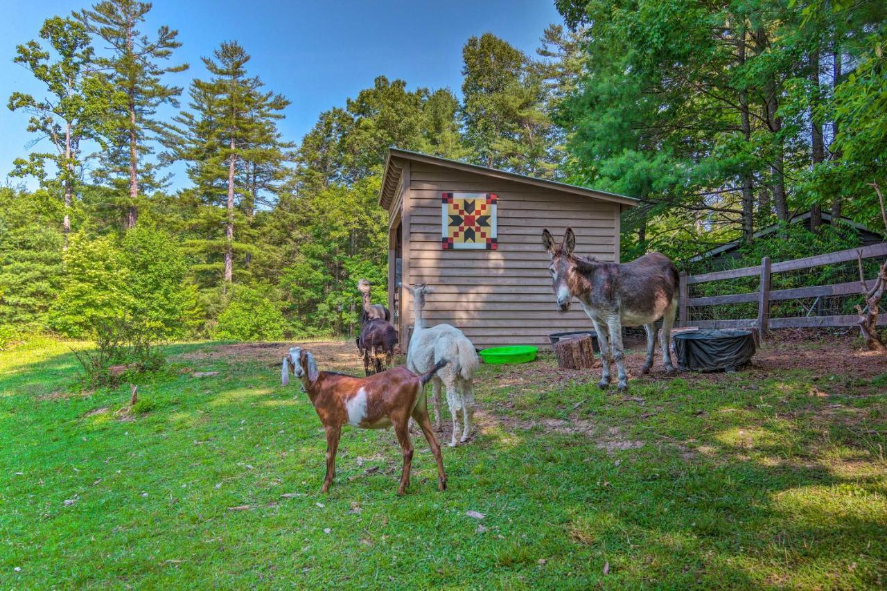 Rustic Hendersonville Farm Studio With Private Deck Exterior photo